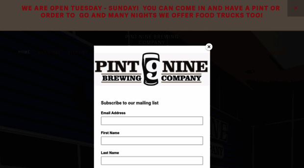 pintninebrewing.com