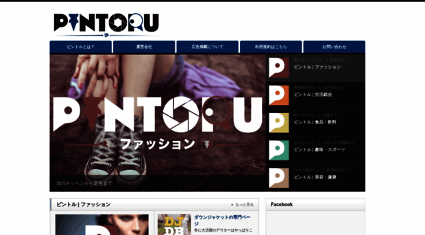 pintoru.com