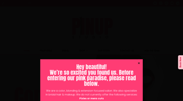 pinupstudionc.com