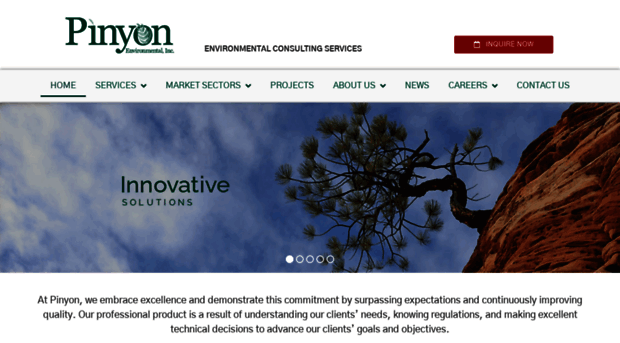 pinyon-env.com