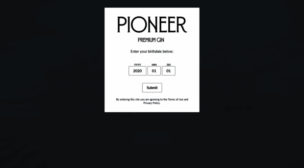 pioneergin.co.uk