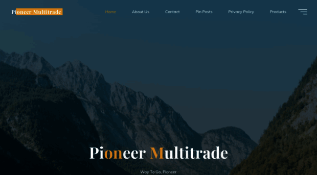 pioneermultitrade.com