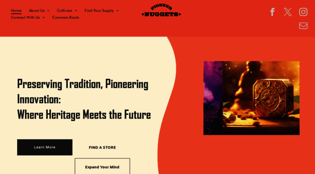 pioneernuggets.com