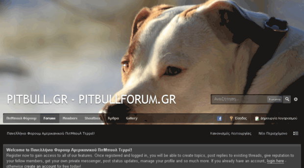 pitbullforum.gr