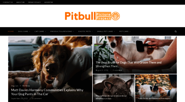 pitbullpictureproject.com