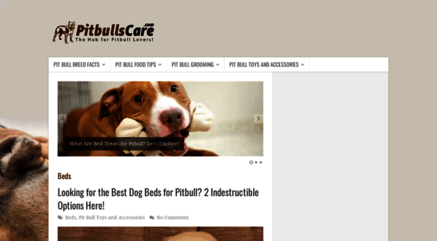 pitbullscare.com