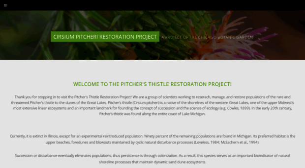 pitchersthistle.org