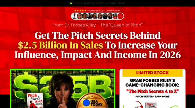 pitchsecretsbook.com