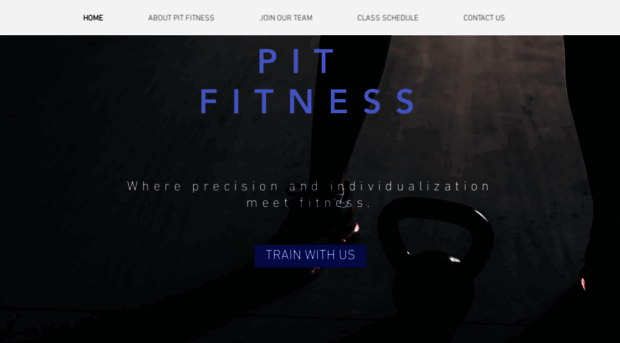 pitfitnessalbany.com