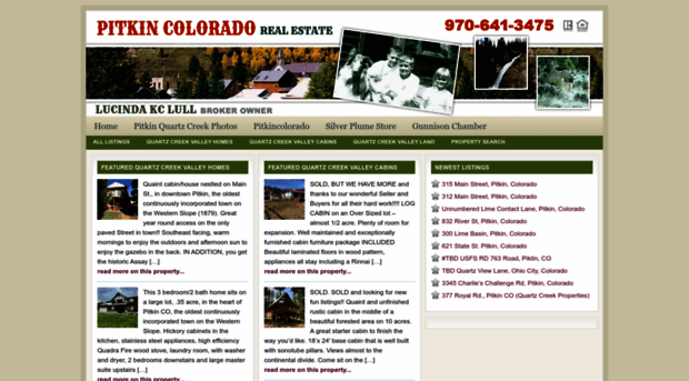 pitkincoloradorealestate.com