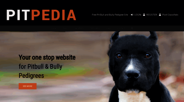 pitpedia.com