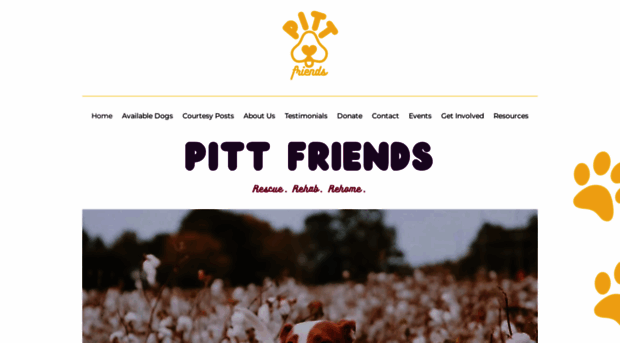 pittfriends.com