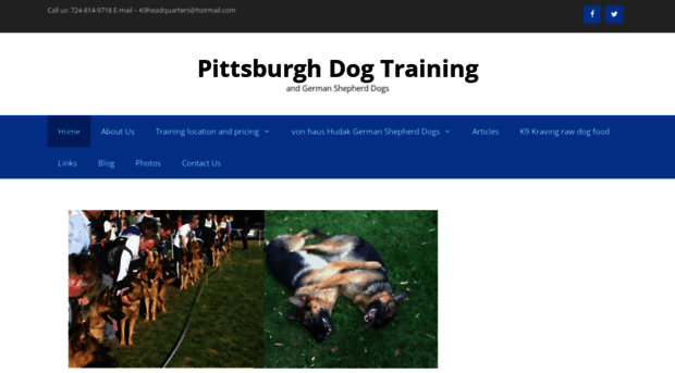 pittsburghdogtraining.com