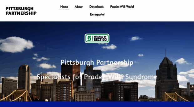 pittsburghpartnership.com