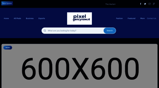 pixelagencynow.nl
