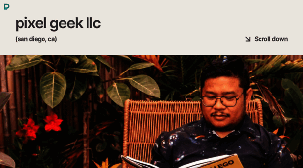 pixelgeekllc.com