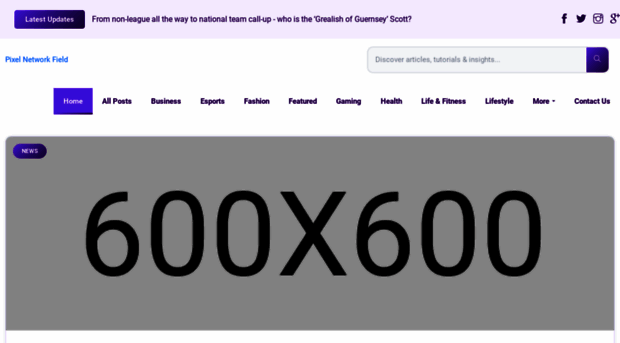 pixelnetworkfield.it