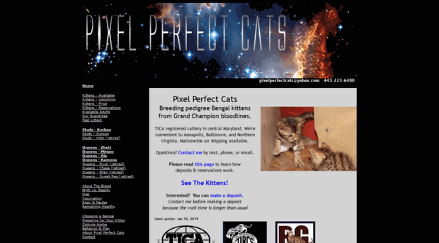 pixelperfectcats.com