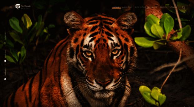 pixelspeaks.photography