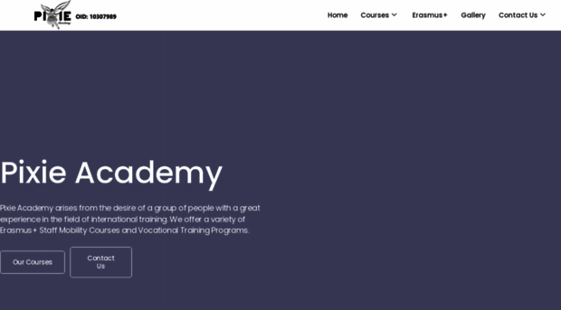 pixieacademy.com.tr