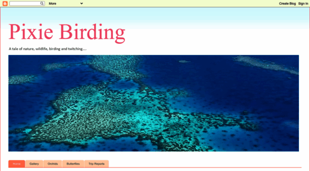 pixiebirding.blogspot.com