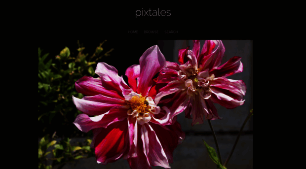 pixtales.smugmug.com