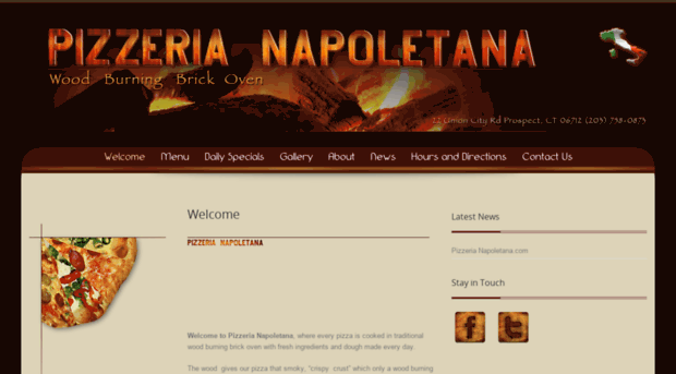 pizzerianapoletana.com