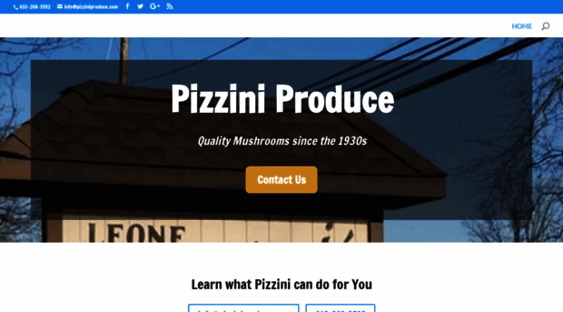 pizziniproduce.com