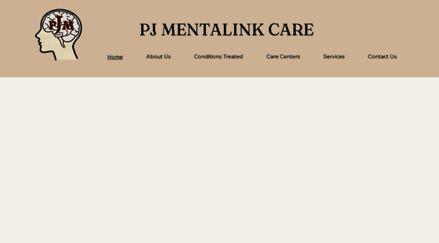 pjmentalinkcare.com