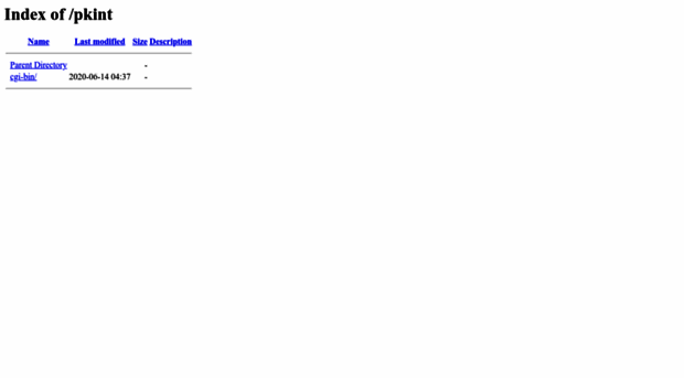 pk-int.com