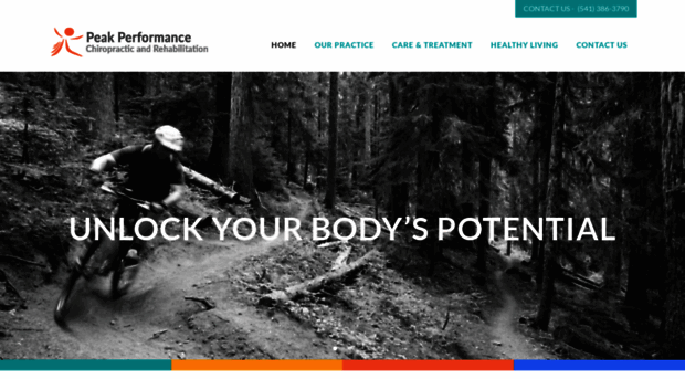 pkchiropractic.net