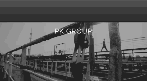 pkgroup.info