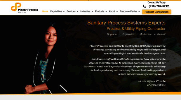 placerprocesssystems.com