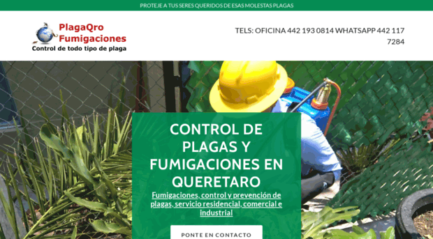 plagaqrofumigaciones.com.mx