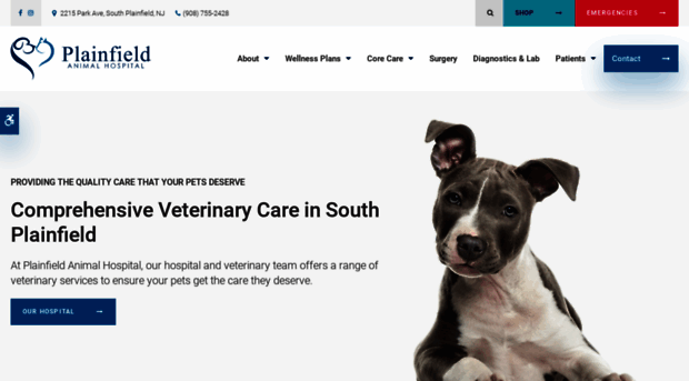 plainfieldanimalhospital.com