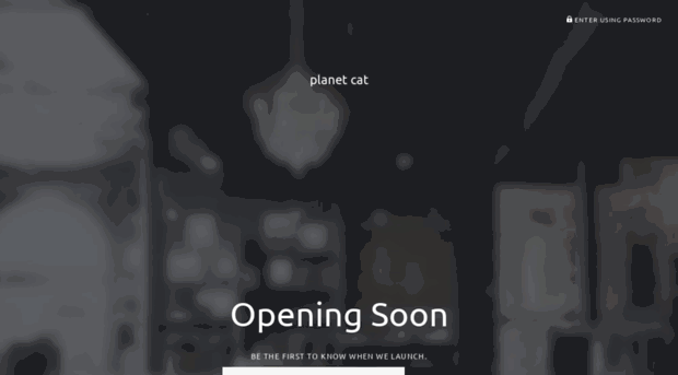 planet-cat.myshopify.com