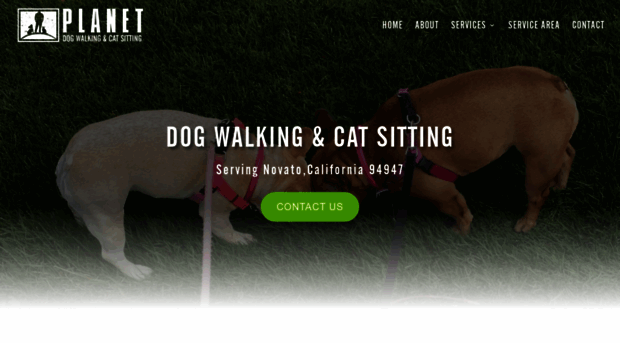 planetdogwalkers.com