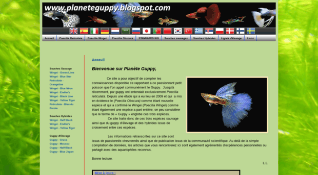 planeteguppy.blogspot.fr