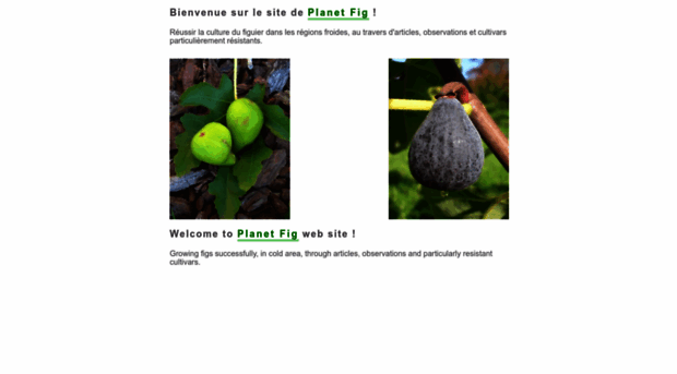 planetfig.com