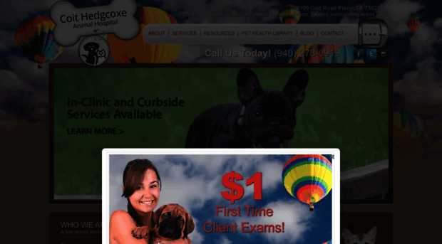 planotxvets.com