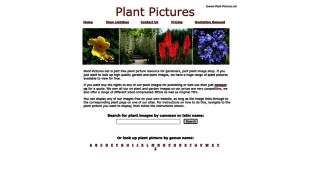 plant-pictures.net