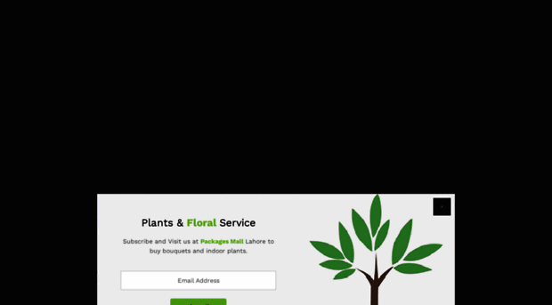 plant.pk