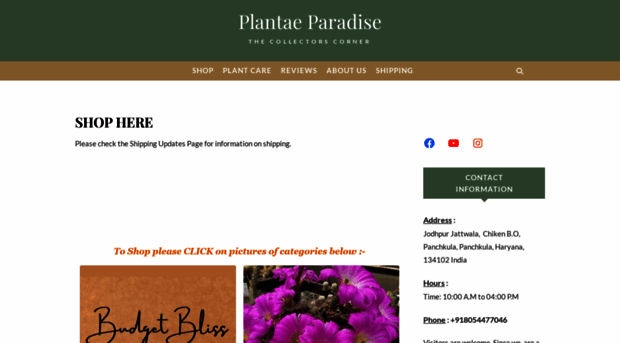 plantaeparadise.com