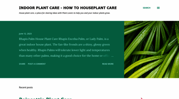 plantandflowerinfo.blogspot.com