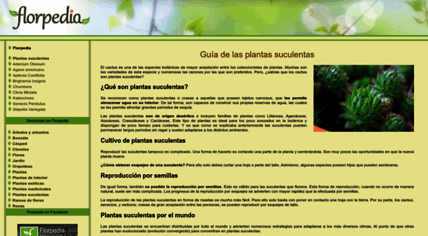 plantas-suculentas.florpedia.com