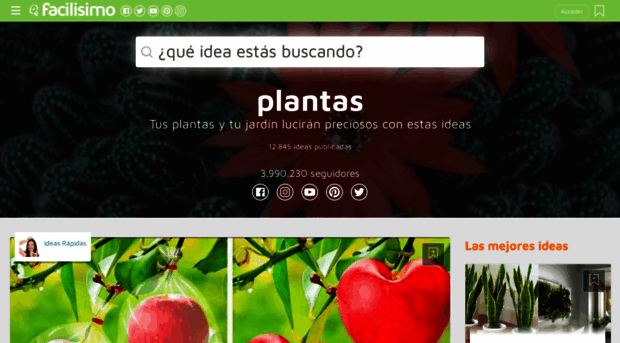 plantas.facilisimo.com