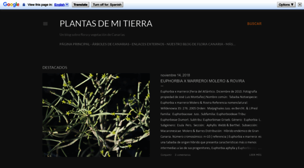 plantasdemitierra.blogspot.com