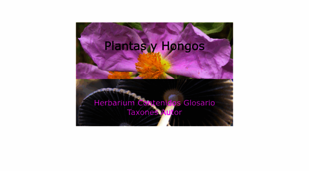 plantasyhongos.es