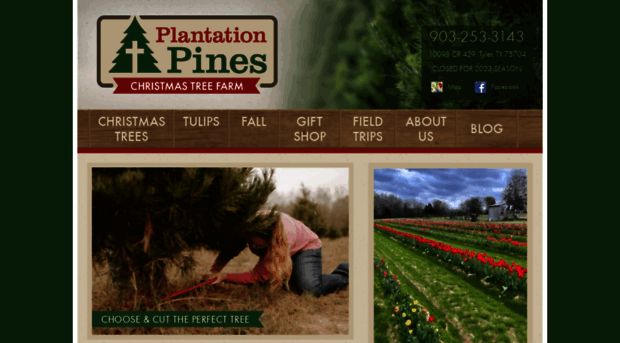 plantationpinesfarms.com