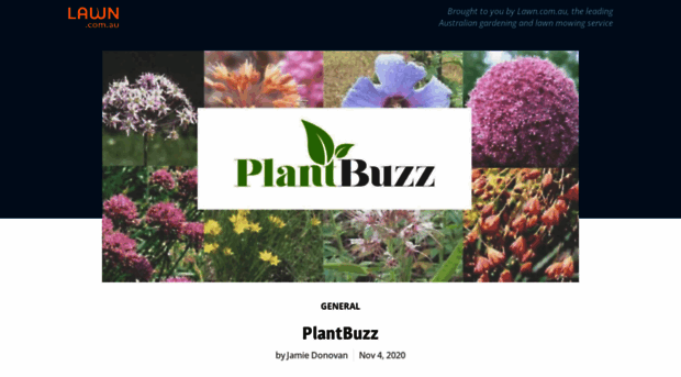 plantbuzz.com